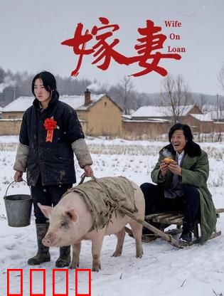 嫁妻：绝望中的复仇
