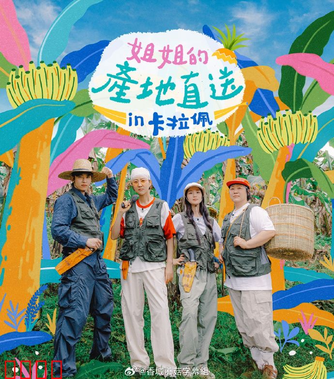 姐姐家的产地直送3：田园情缘