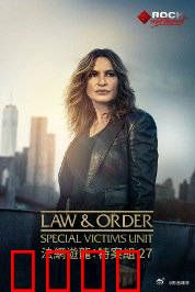 法律与秩序：正义追踪