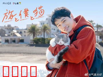 旅行和我和猫：治愈心灵之旅