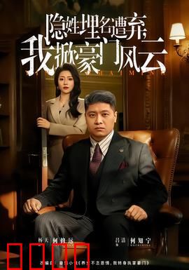 隐姓埋名遭弃，我掀豪门风云：平民逆袭