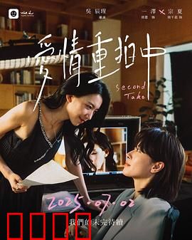 爱情重拍中：导演的浪漫逆袭