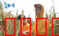 台湾第一等：宝岛秘境