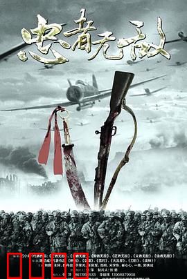 忠者无敌：铁血军魂