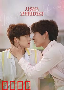 爱情像猫一样：三招俘获芳心