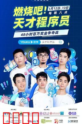 燃烧吧！天才程序员：代码逆袭