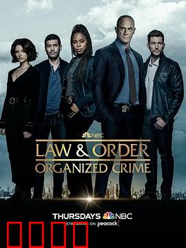 法律与秩序：孪生迷局