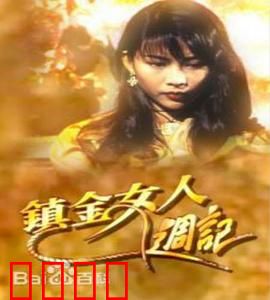 镇金女人周记粤语：金钱与诱惑