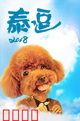 泰逗2018：爆笑囧途大冒险