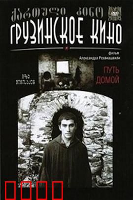 返乡之路：情归故里