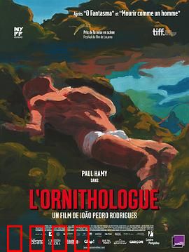 鸟类学家：林中寻鸟奇遇