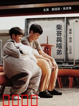 柴哥与喵弟：兄弟情深