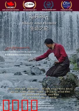 生命之轮：命运轮回