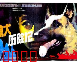 狼犬历险记：忠诚与使命