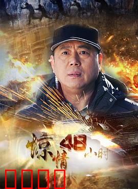 惊情48小时：致命迷局
