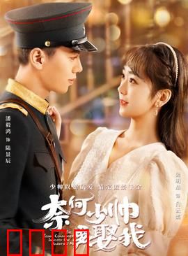 奈何少帅要娶我：霸总追妻路