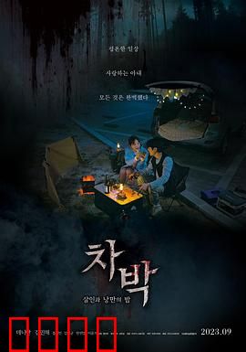 车泊：深夜停车场的秘密