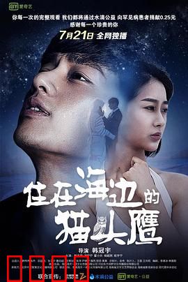 住在海边的猫头鹰：孤独守望