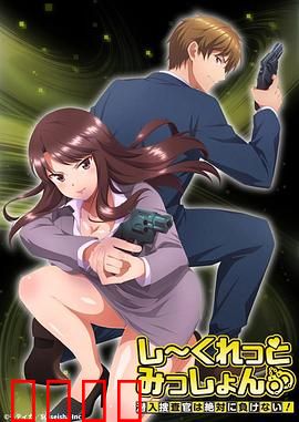 Secret Mission～潜入捜査官绝对不会输！～：绝密卧底任务