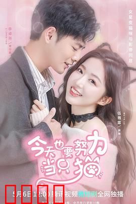 今天也要努力当只猫：猫生艰难也要笑对