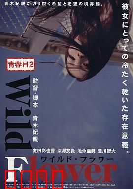 青春H2之狂野之花：叛逆青春