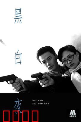 黑白夜：光影中的真相